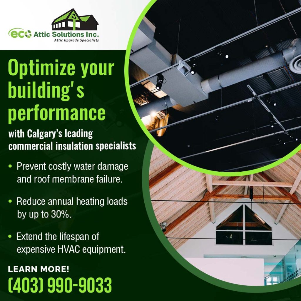 air-sealing attics in Calgary