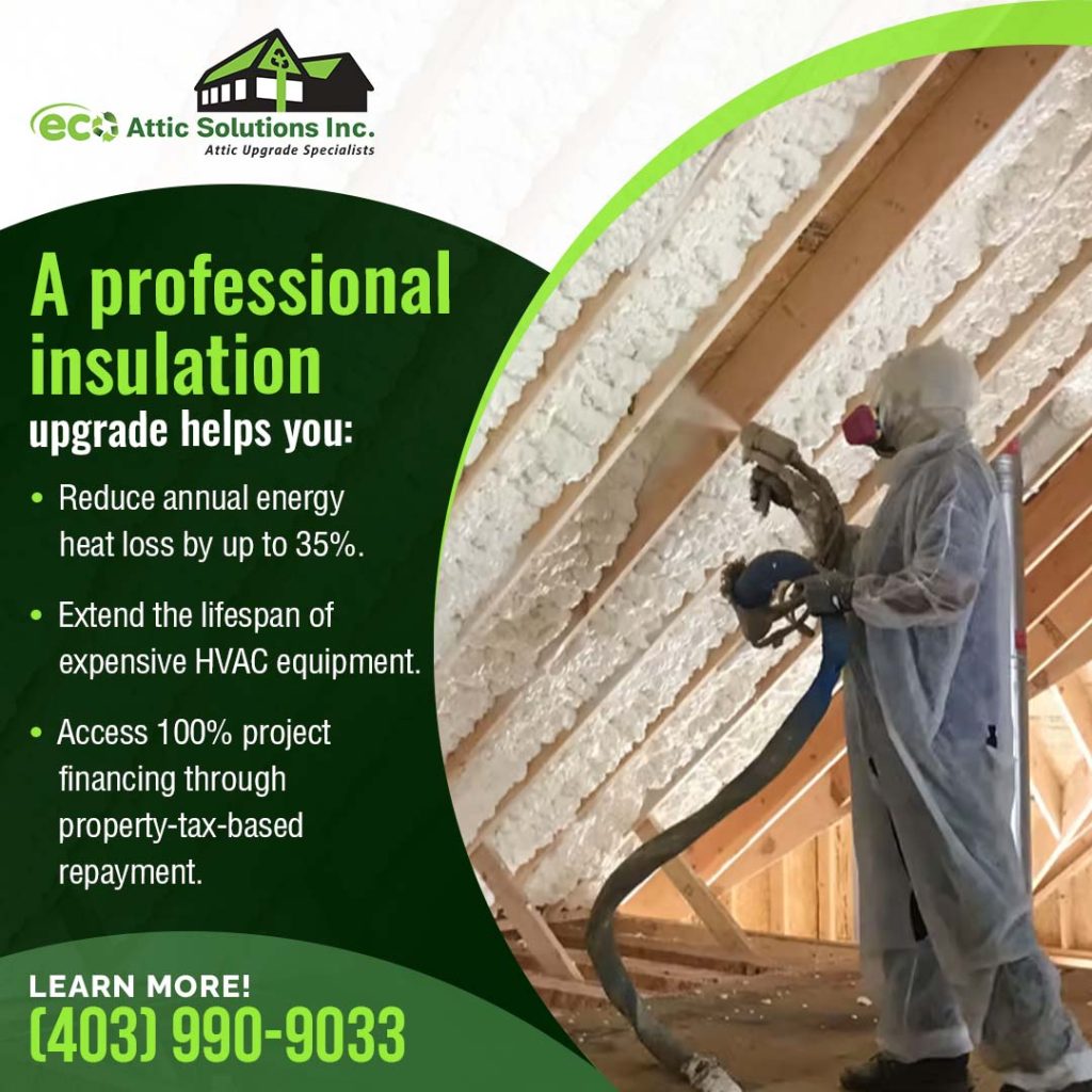 professional insulation