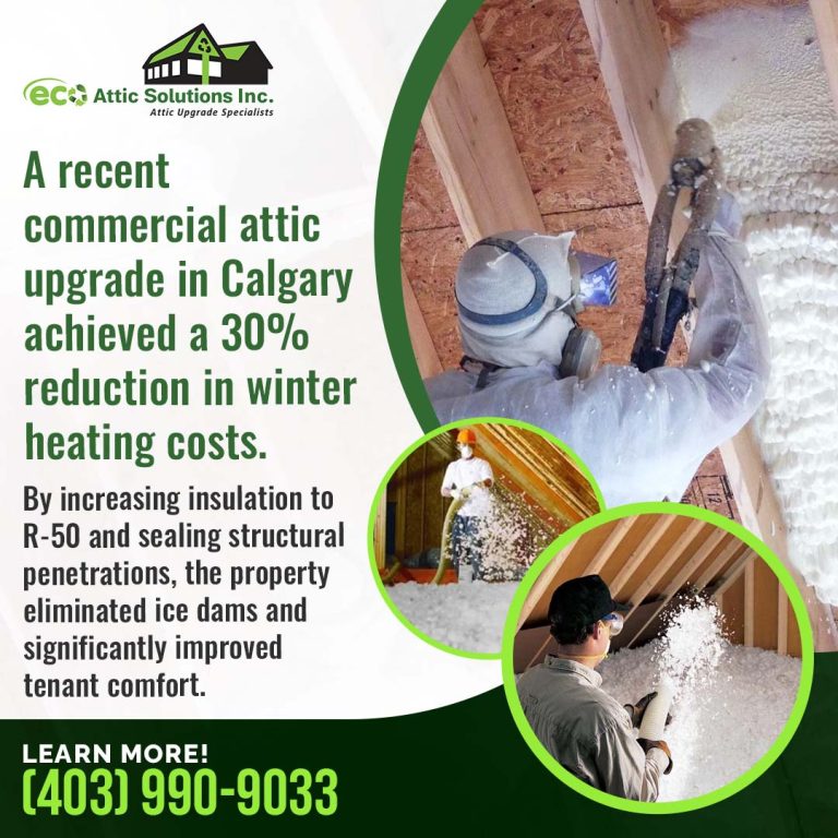 commercial attic upgrade